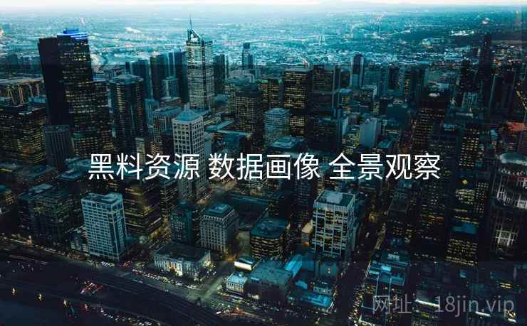 黑料资源 数据画像 全景观察