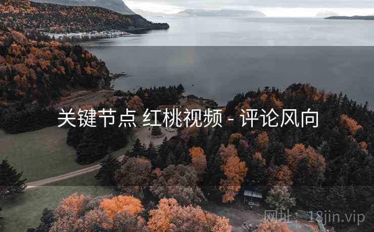 关键节点 红桃视频 - 评论风向