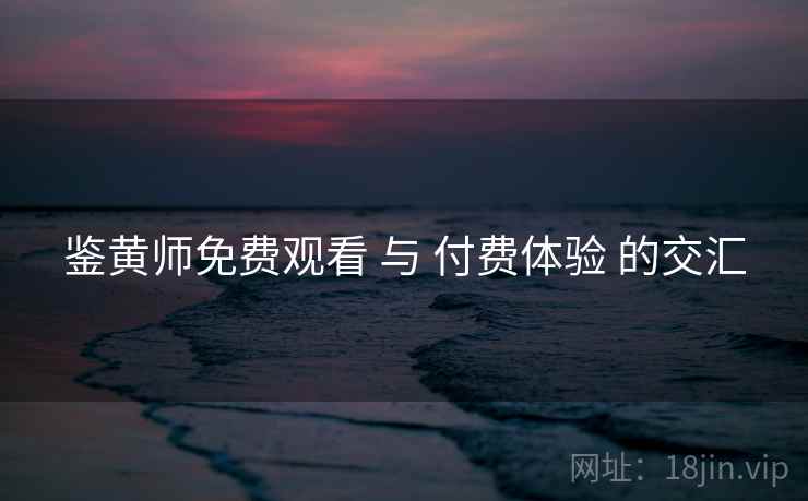 鉴黄师免费观看 与 付费体验 的交汇