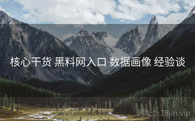 核心干货 黑料网入口 数据画像 经验谈