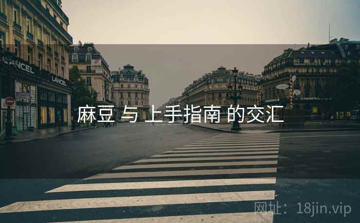 麻豆 与 上手指南 的交汇  第1张