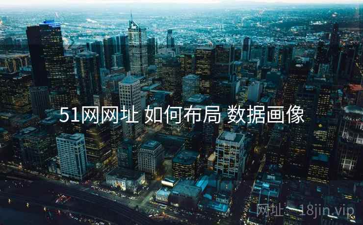 51网网址 如何布局 数据画像