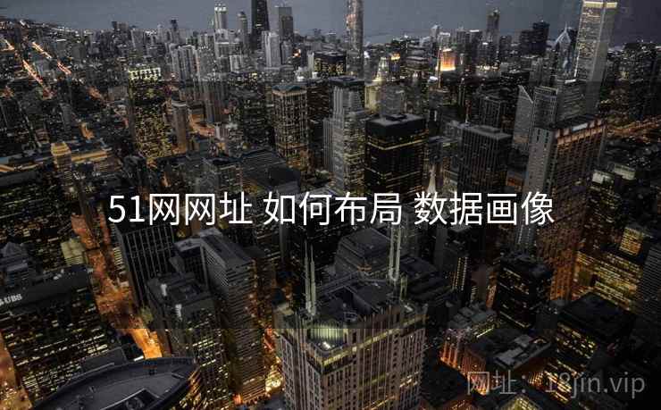51网网址 如何布局 数据画像  第2张