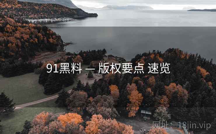 91黑料 — 版权要点 速览  第2张