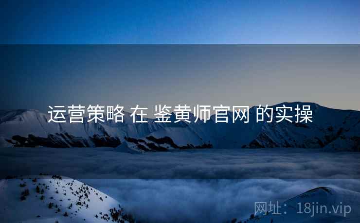 运营策略 在 鉴黄师官网 的实操