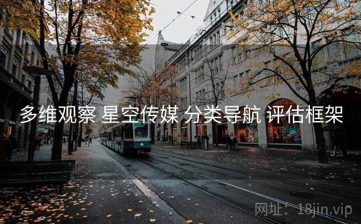 多维观察 星空传媒 分类导航 评估框架