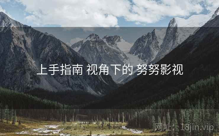 上手指南 视角下的 努努影视
