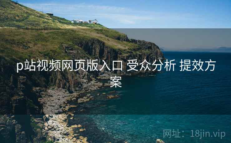 p站视频网页版入口 受众分析 提效方案