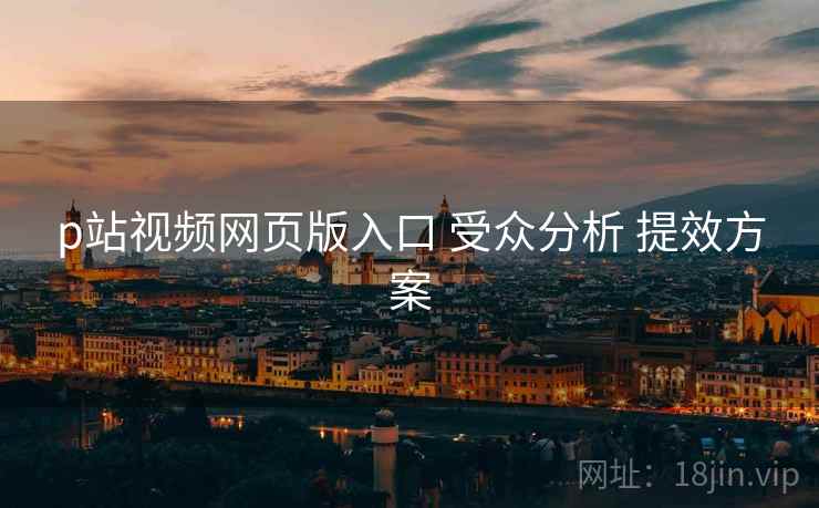 p站视频网页版入口 受众分析 提效方案
