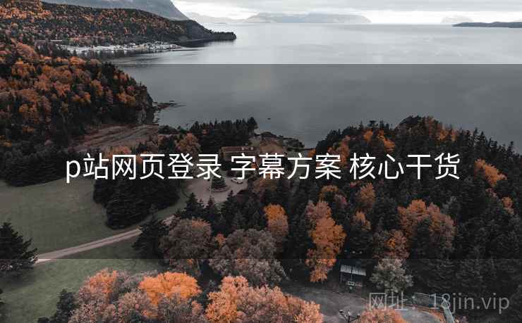 p站网页登录 字幕方案 核心干货