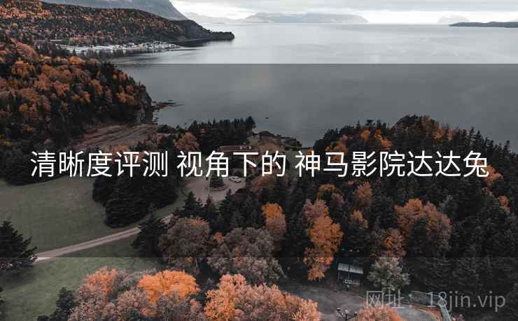清晰度评测 视角下的 神马影院达达兔 第1张 清晰度评测 视角下的 神马影院达达兔 第1张