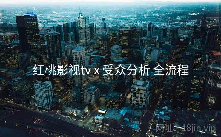 红桃影视tv x 受众分析 全流程