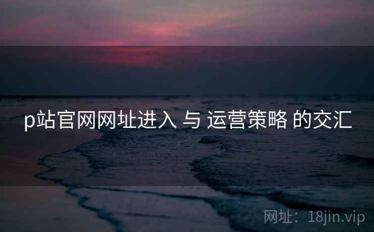p站官网网址进入 与 运营策略 的交汇