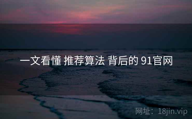 一文看懂 推荐算法 背后的 91官网