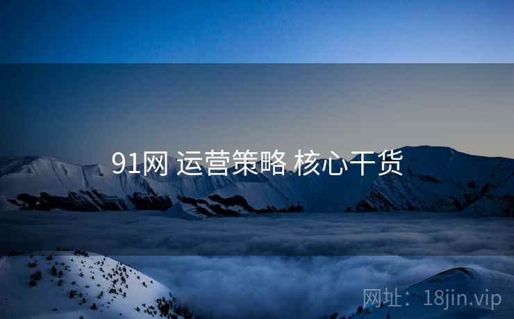 91网 运营策略 核心干货