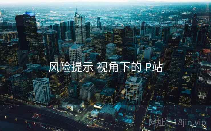 风险提示 视角下的 P站